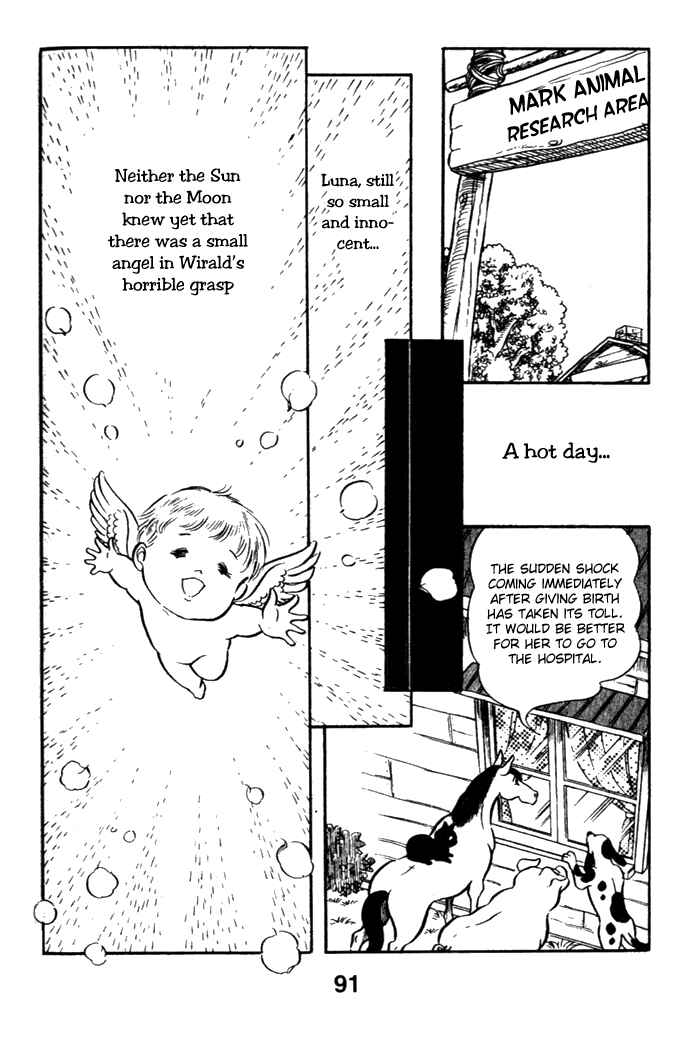 Page 14 Chapter 22 Pansy of Light