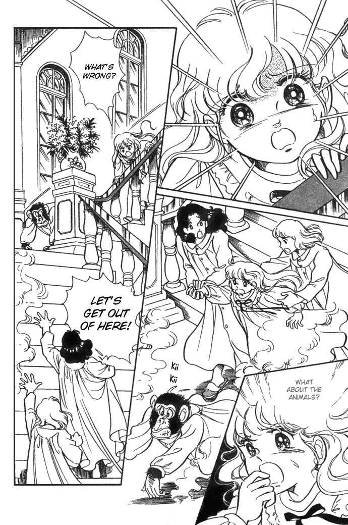 Page 17 Chapter 7.1 Pansy of Light