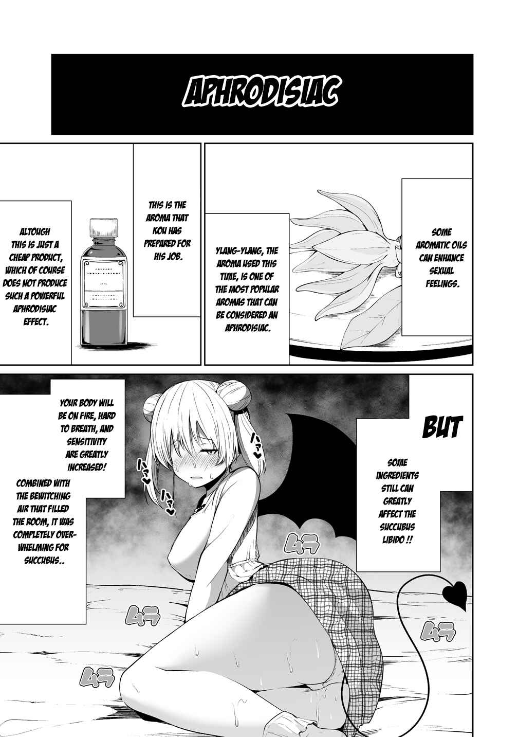 Page 13 Chapter 2 Koisuru Succubus no Ikenai Jijou