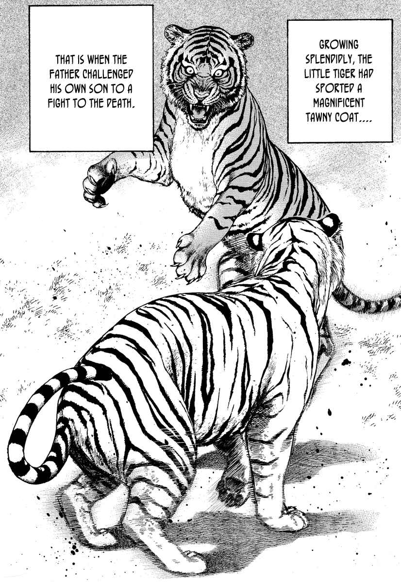 Page 5 Chapter 217 Tough