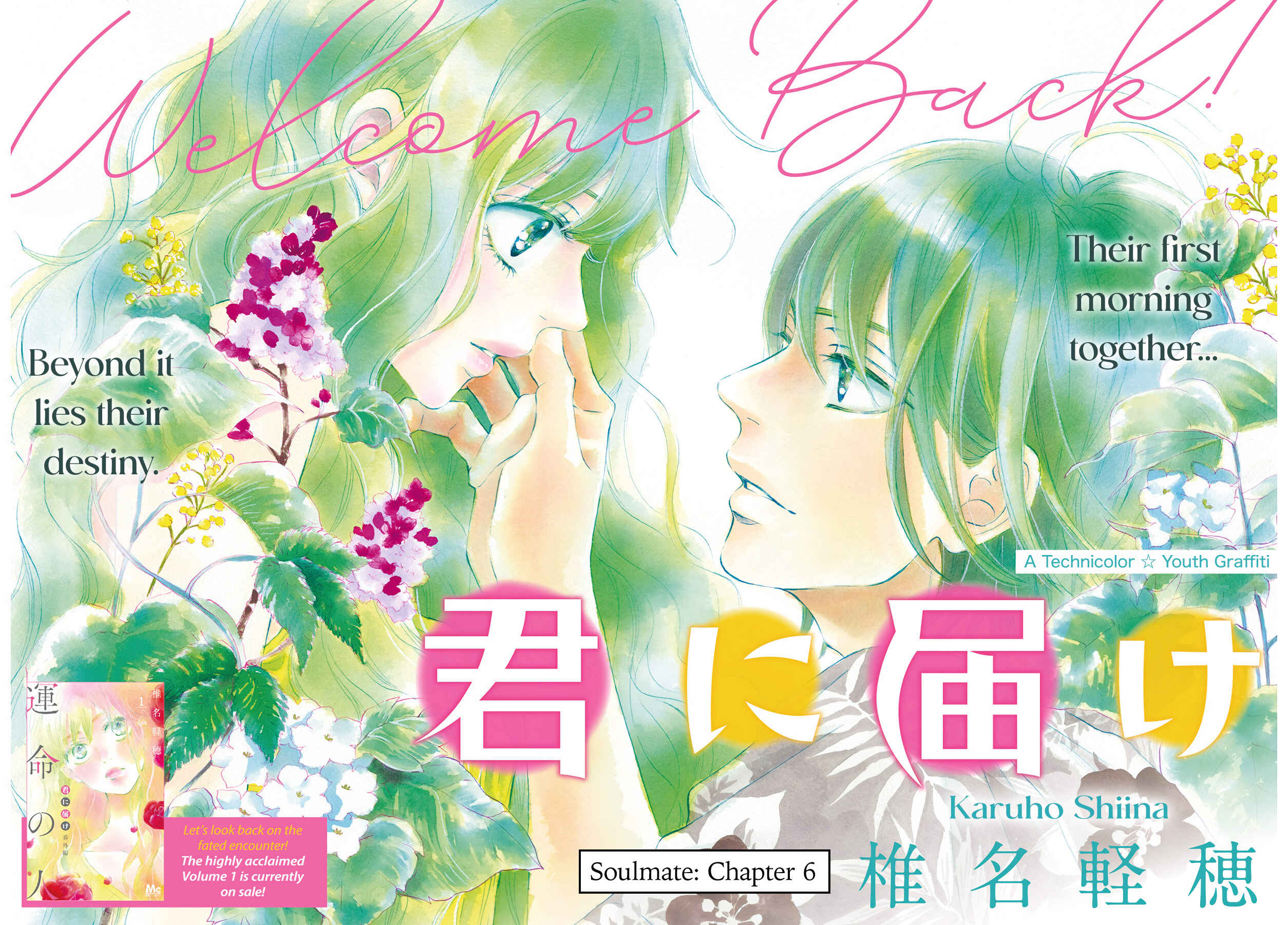 Page 3 Chapter 6 Kimi ni Todoke Special ～Soulmate～
