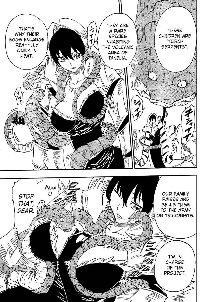 Page 14 Chapter 7 Flags