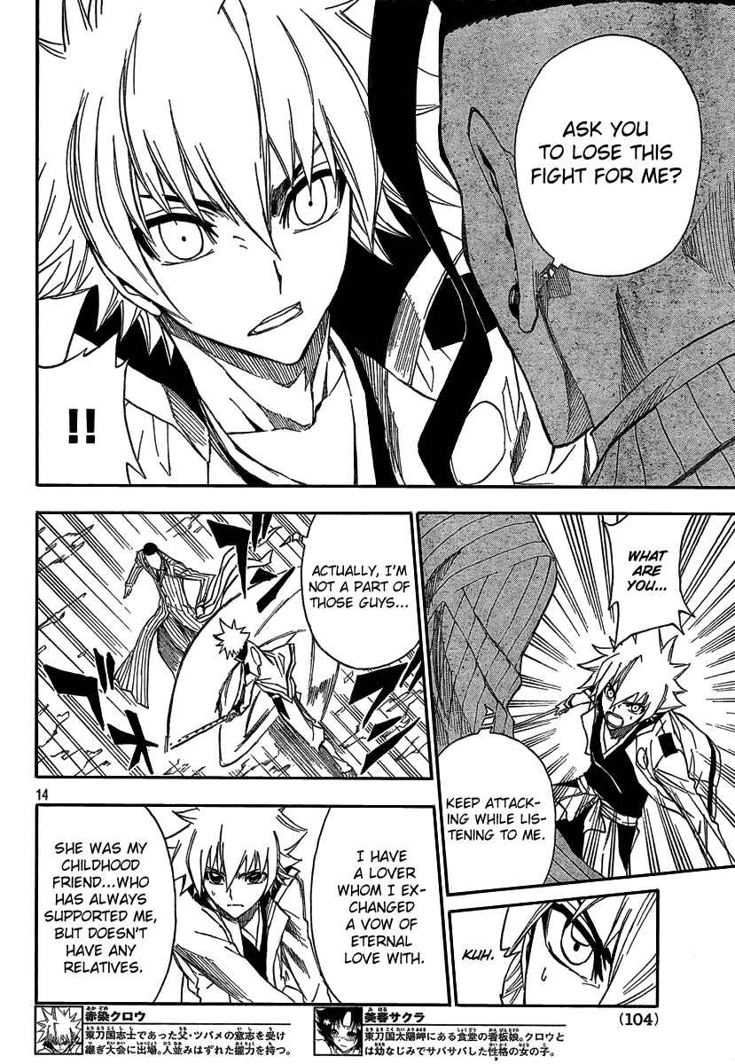 Page 15 Chapter 4 Flags