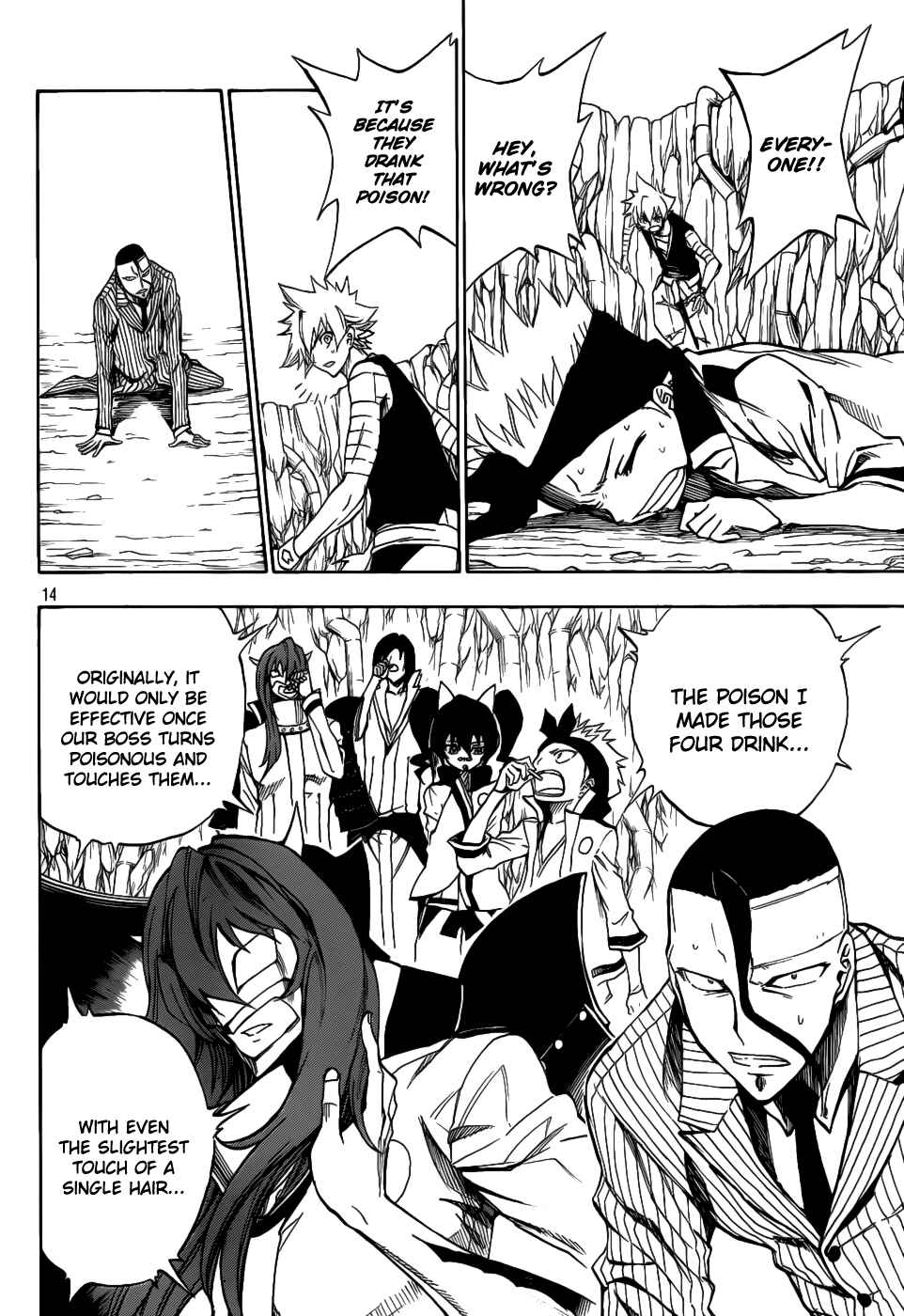 Page 14 Chapter 8 Flags