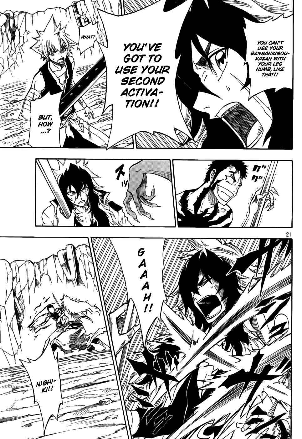Page 21 Chapter 8 Flags