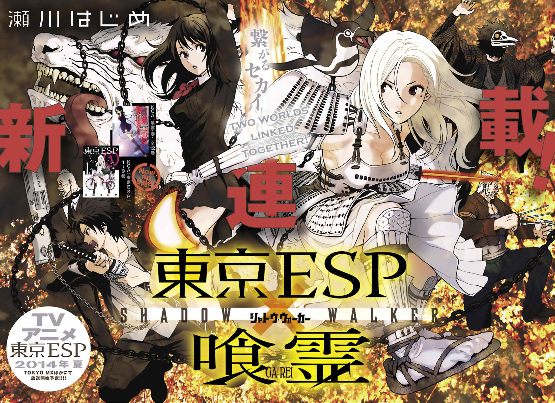 Page 2 Chapter 1 Tokyo ESP x Ga-rei - Shadow Walker