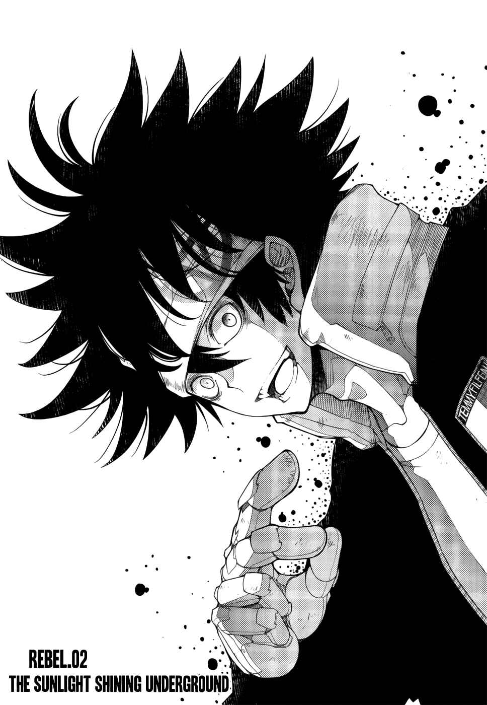 Page 3 Chapter 2 Fake Rebellion