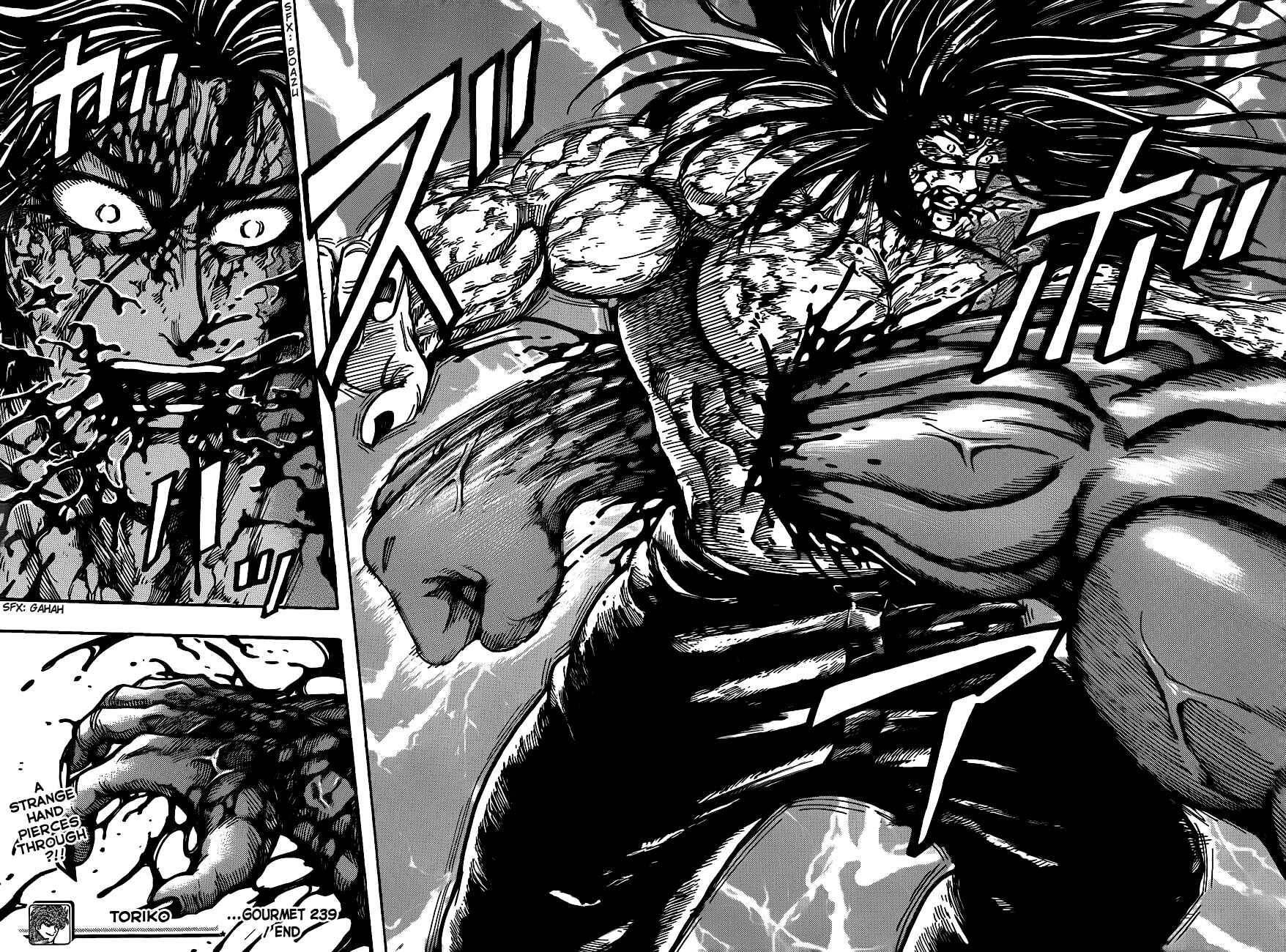 Page 18 Chapter 239 TORIKO