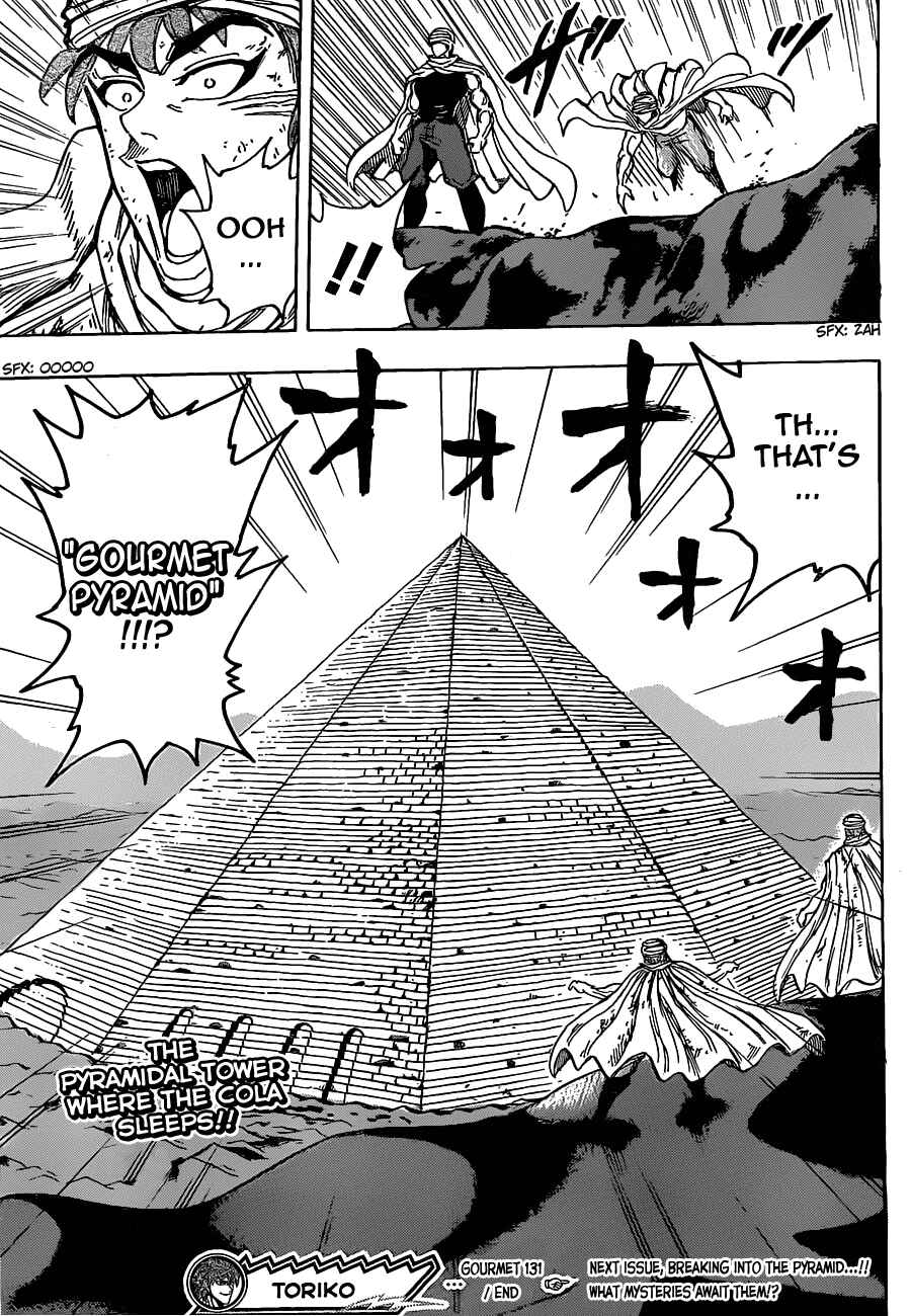 Page 17 Chapter 131 TORIKO