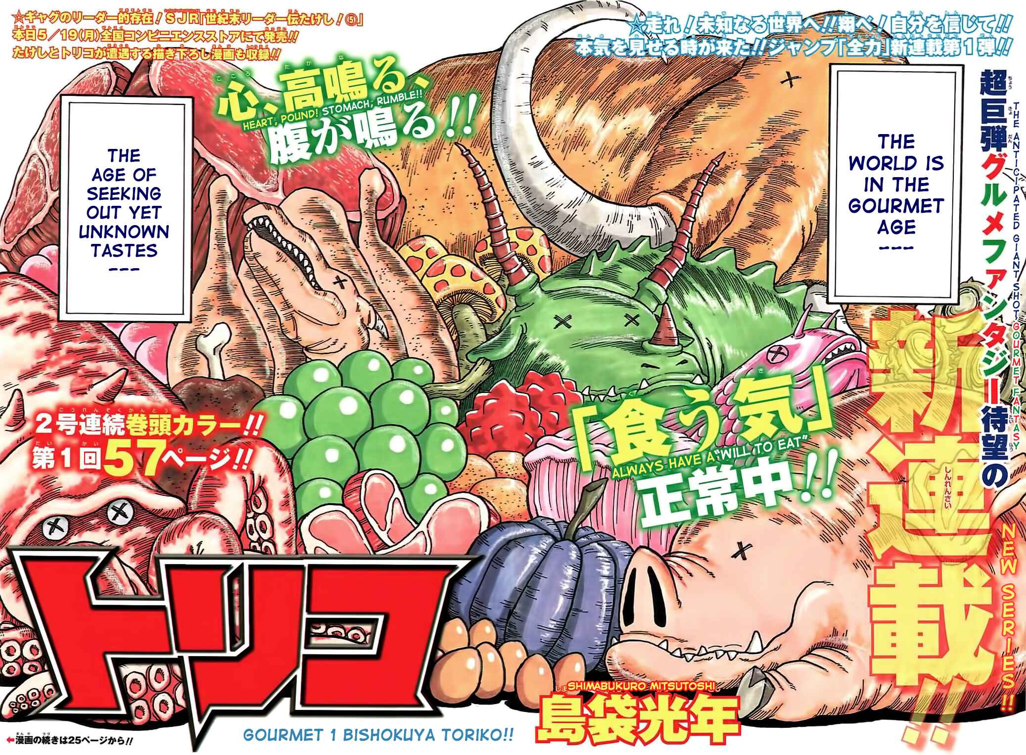 Page 12 Chapter 1 TORIKO