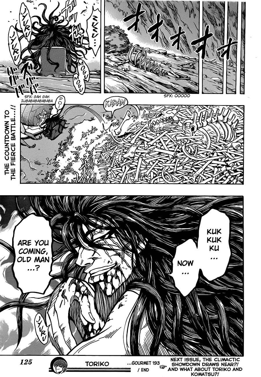 Page 17 Chapter 193 TORIKO