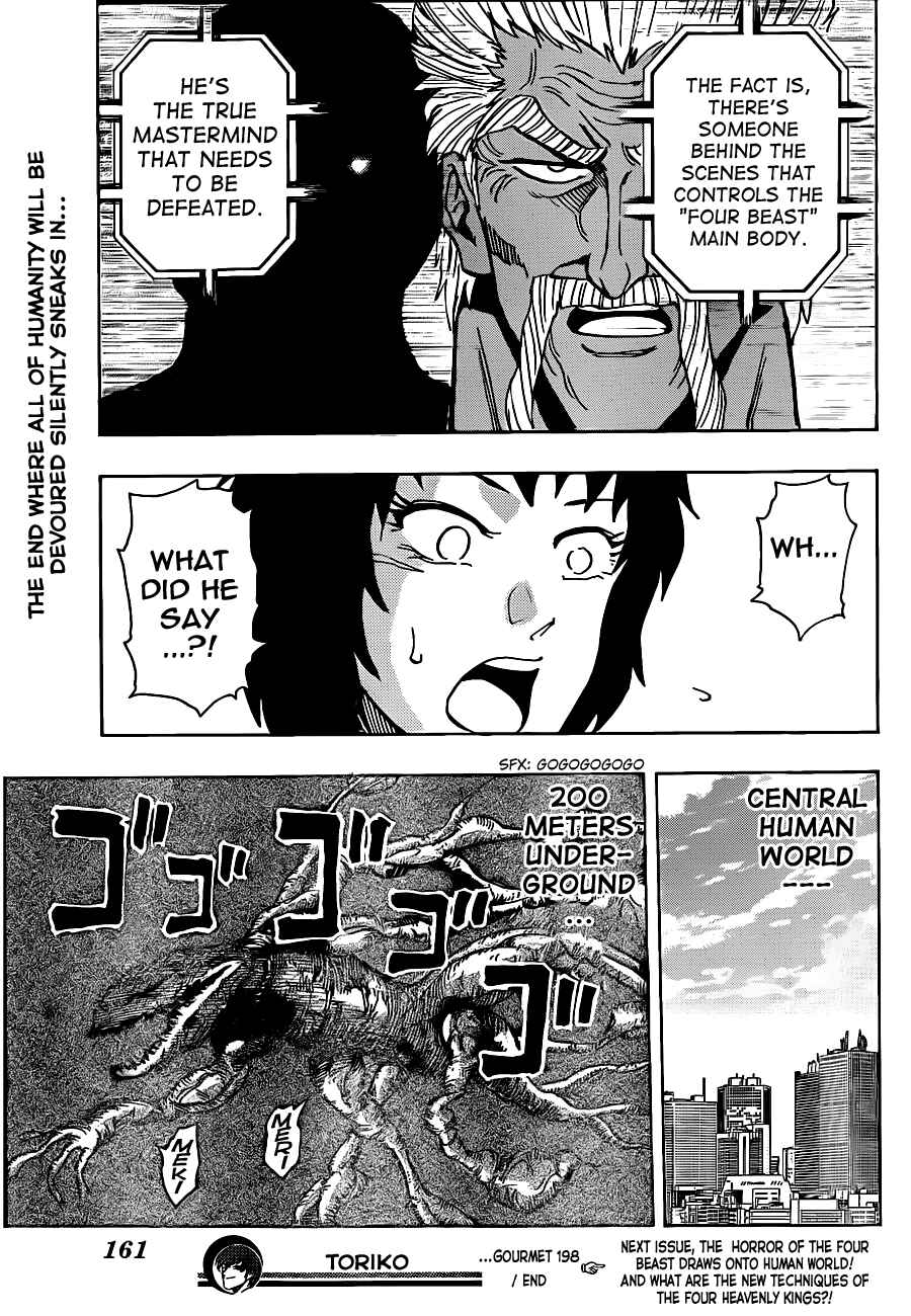 Page 17 Chapter 198 TORIKO
