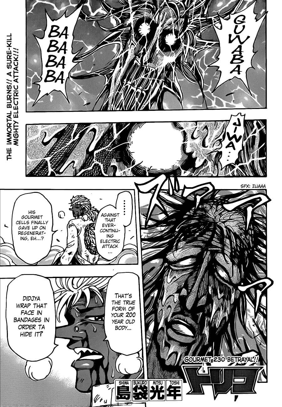 Page 1 Chapter 230 TORIKO