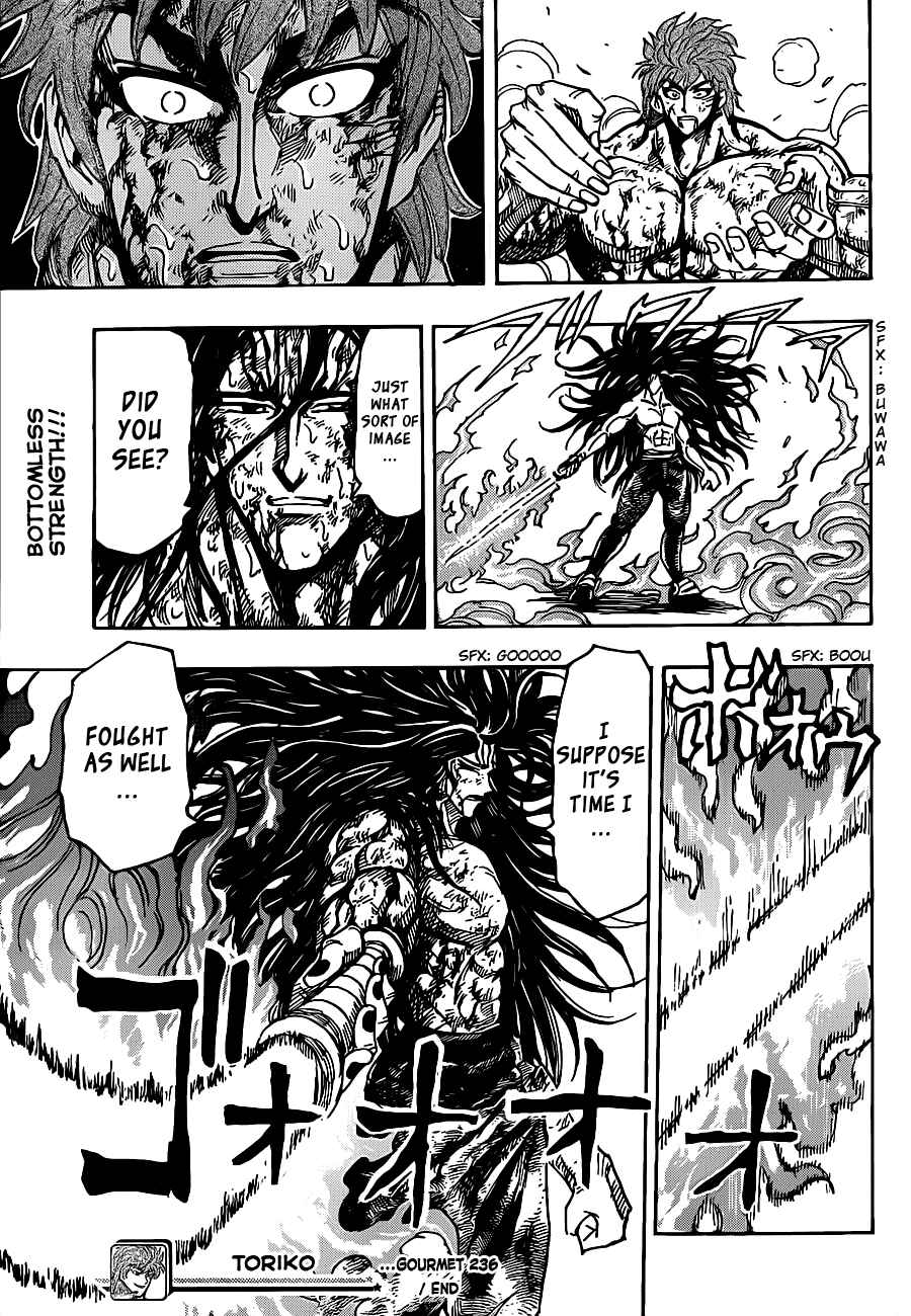 Page 18 Chapter 236 TORIKO