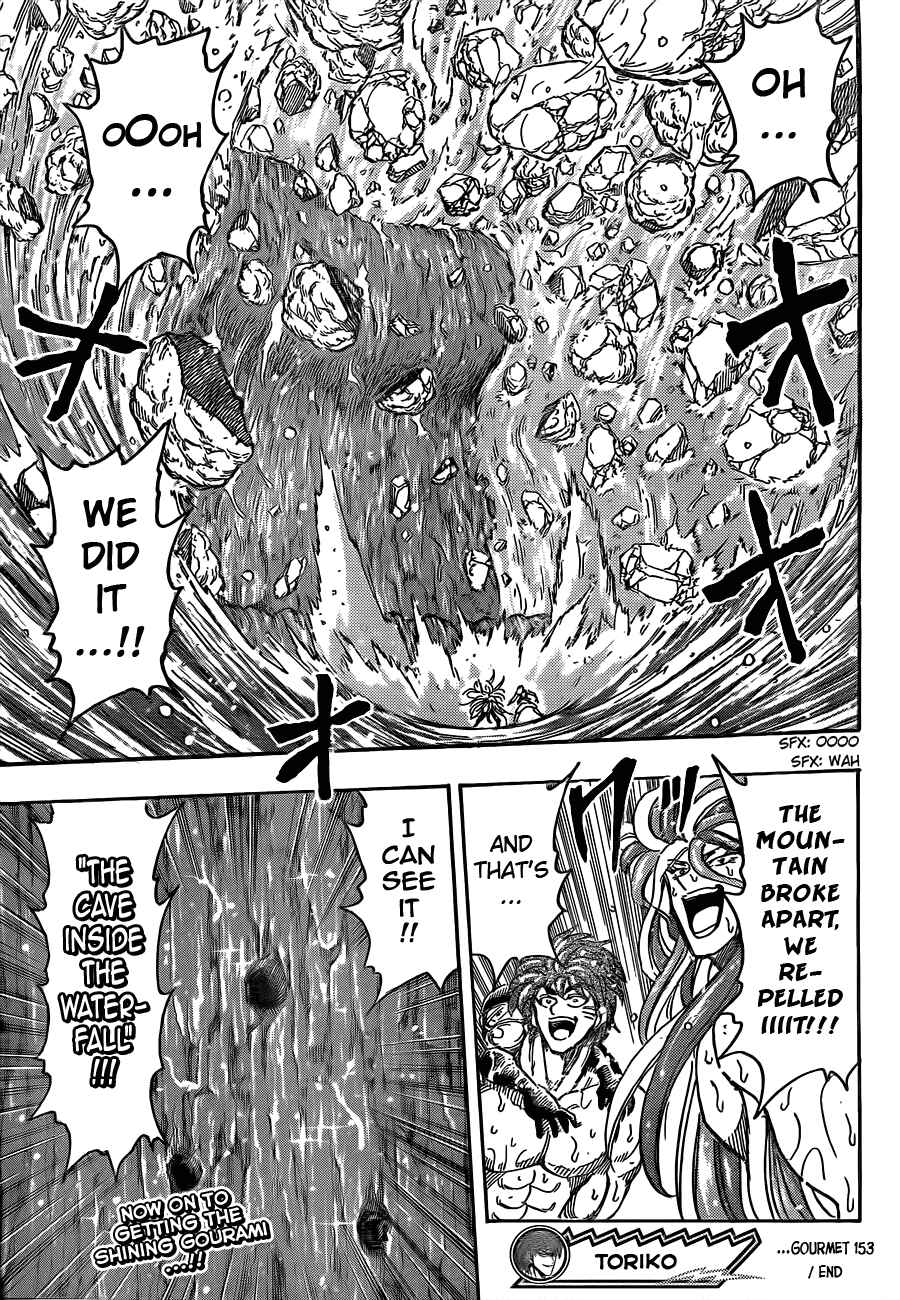 Page 17 Chapter 153 TORIKO