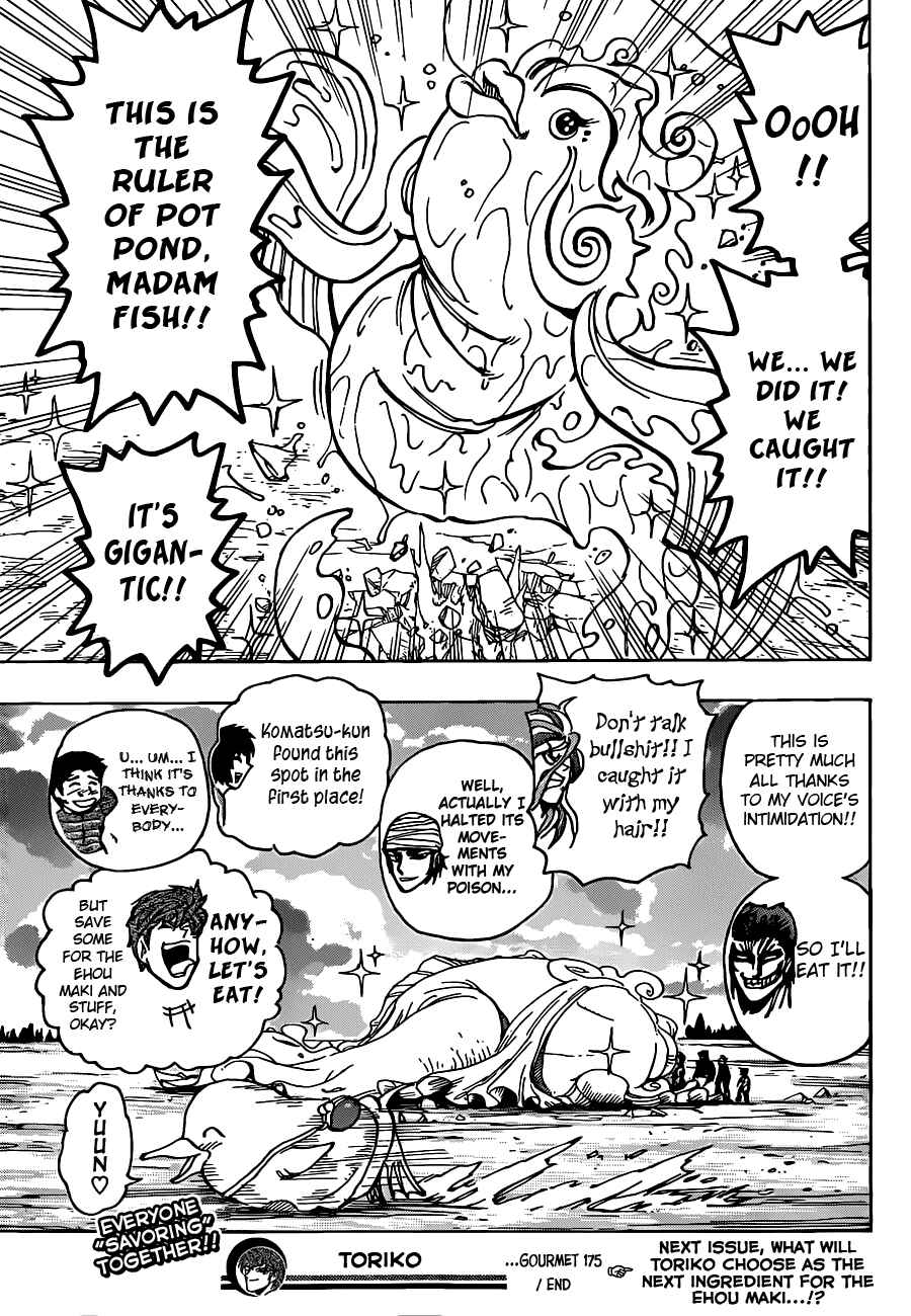 Page 19 Chapter 175 TORIKO