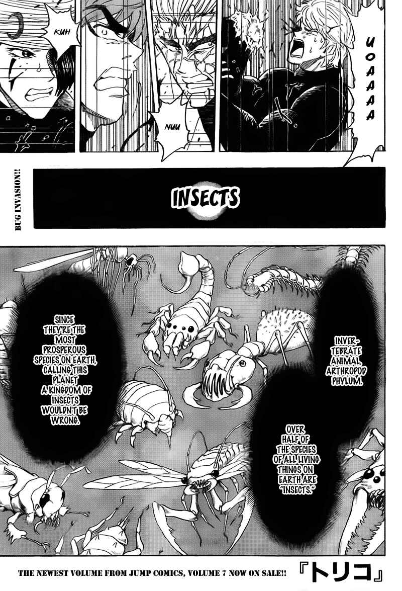 Page 2 Chapter 76 TORIKO