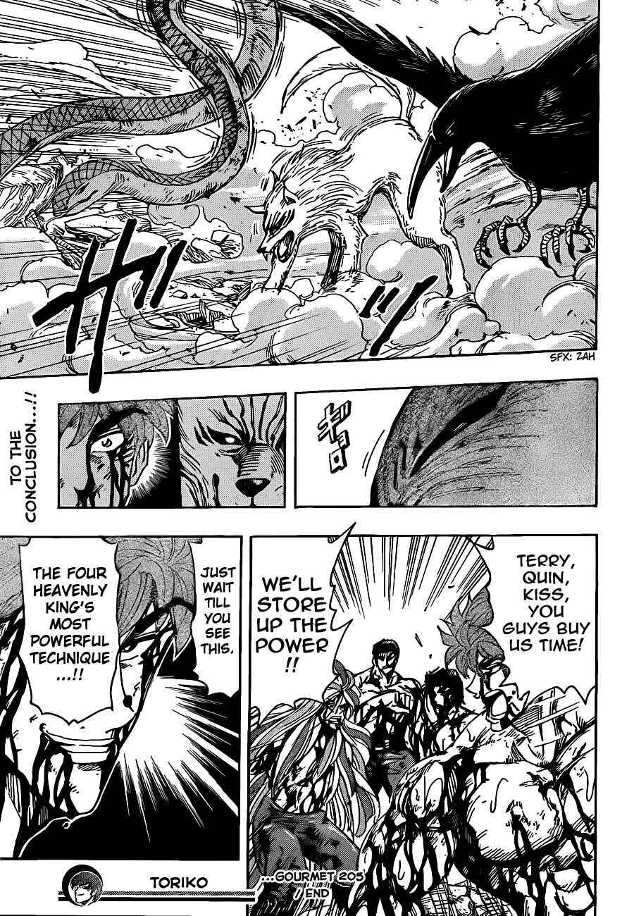Page 19 Chapter 205 TORIKO