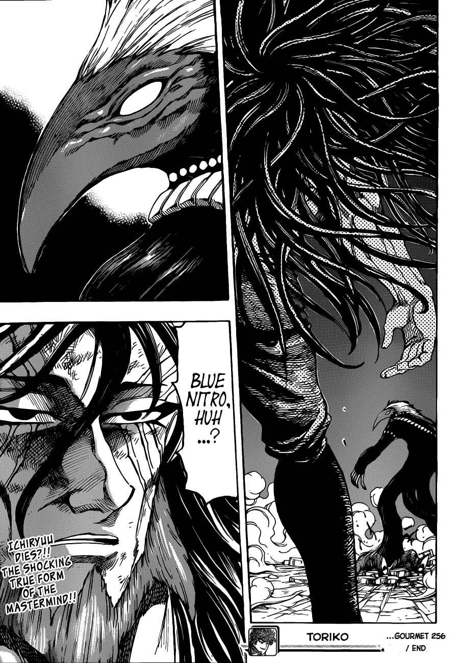 Page 18 Chapter 256 TORIKO