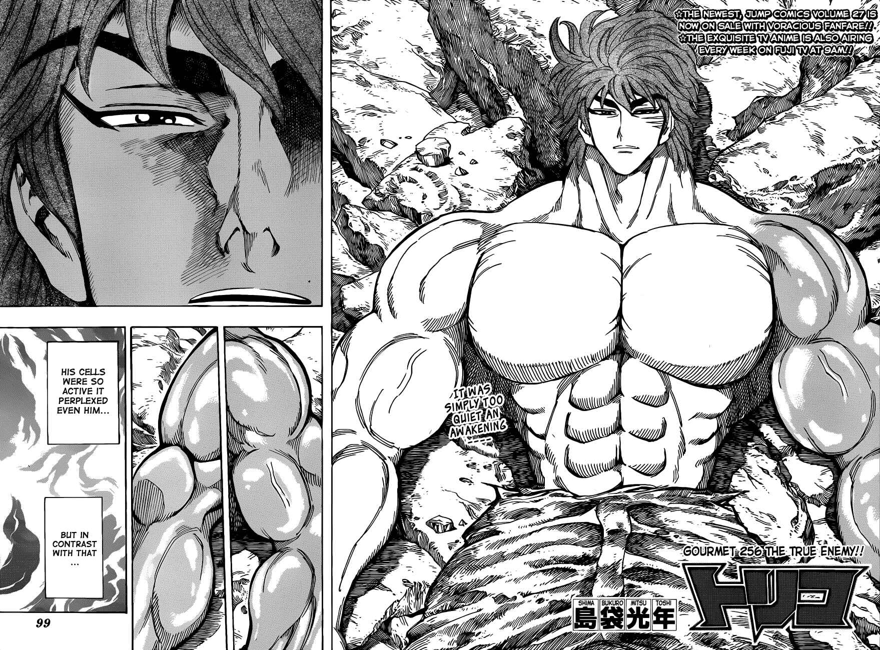 Page 4 Chapter 256 TORIKO