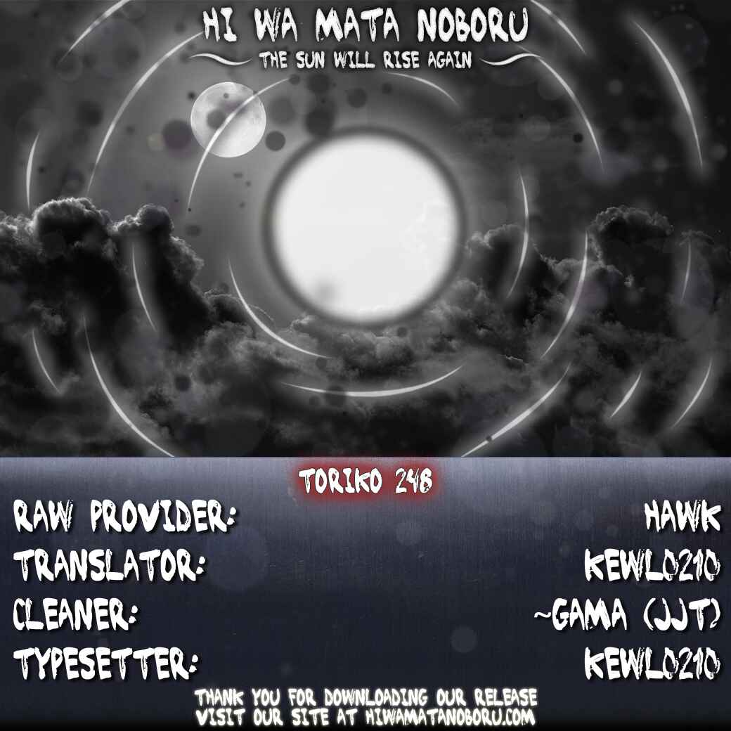 Page 17 Chapter 248 TORIKO