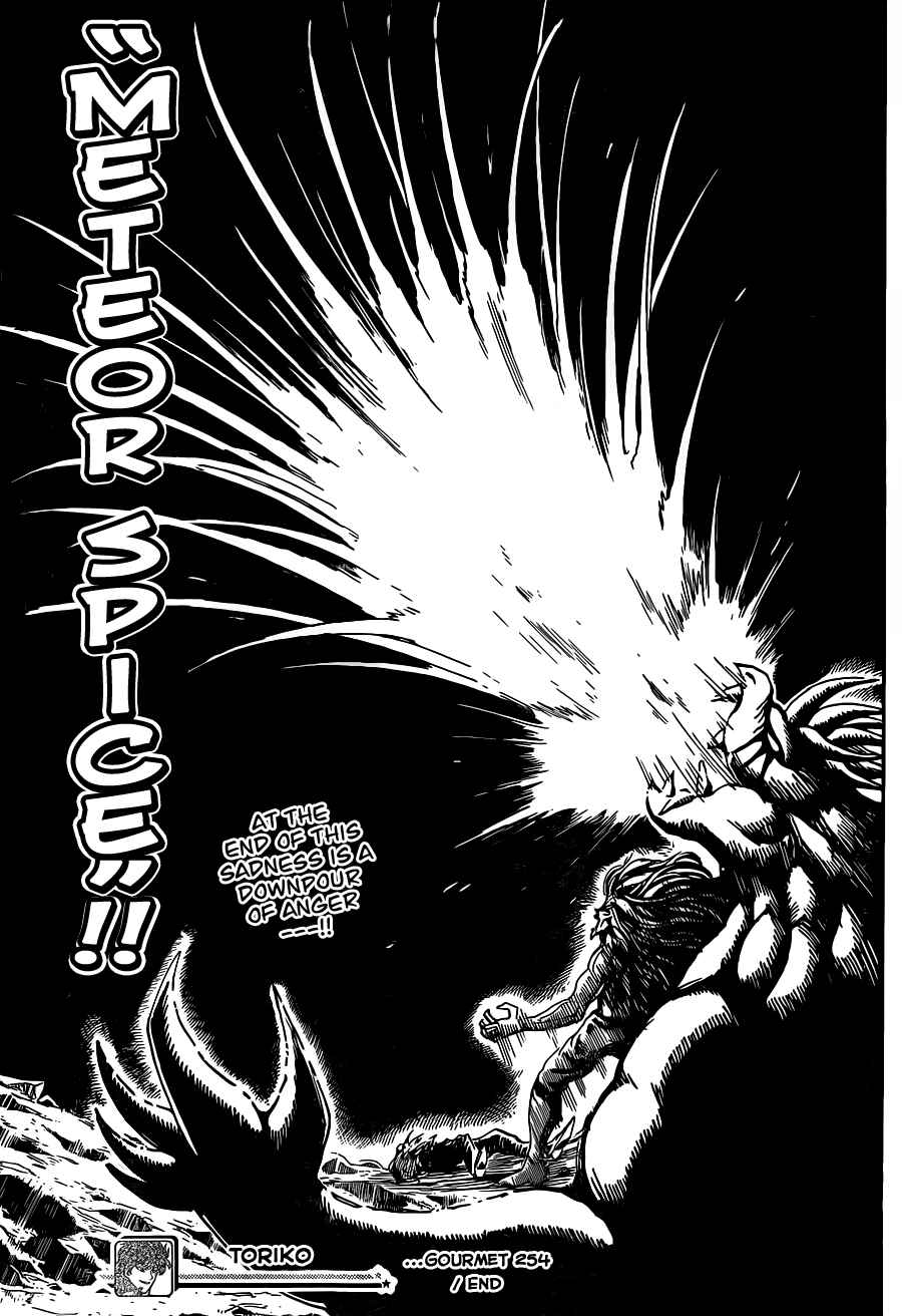 Page 19 Chapter 254 TORIKO