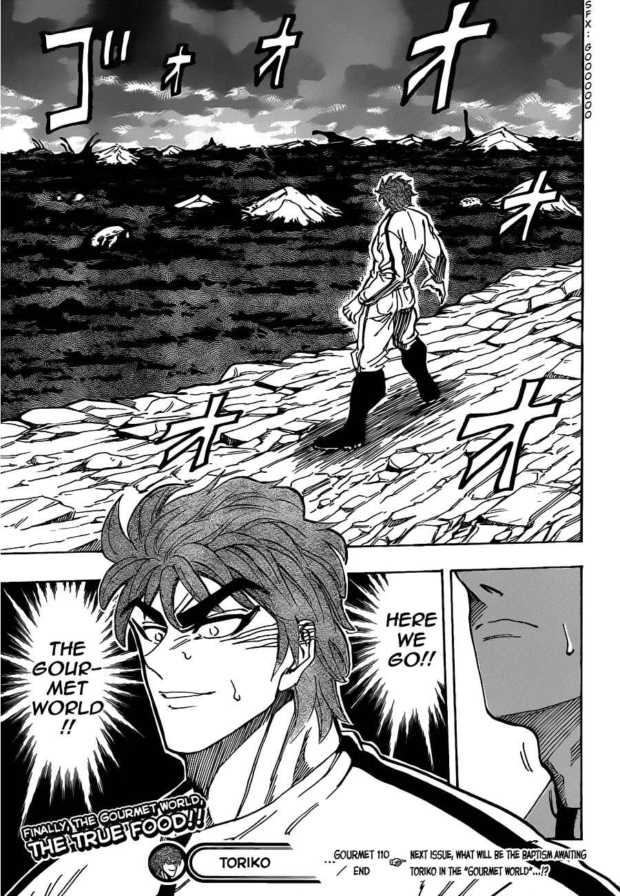Page 18 Chapter 110 TORIKO