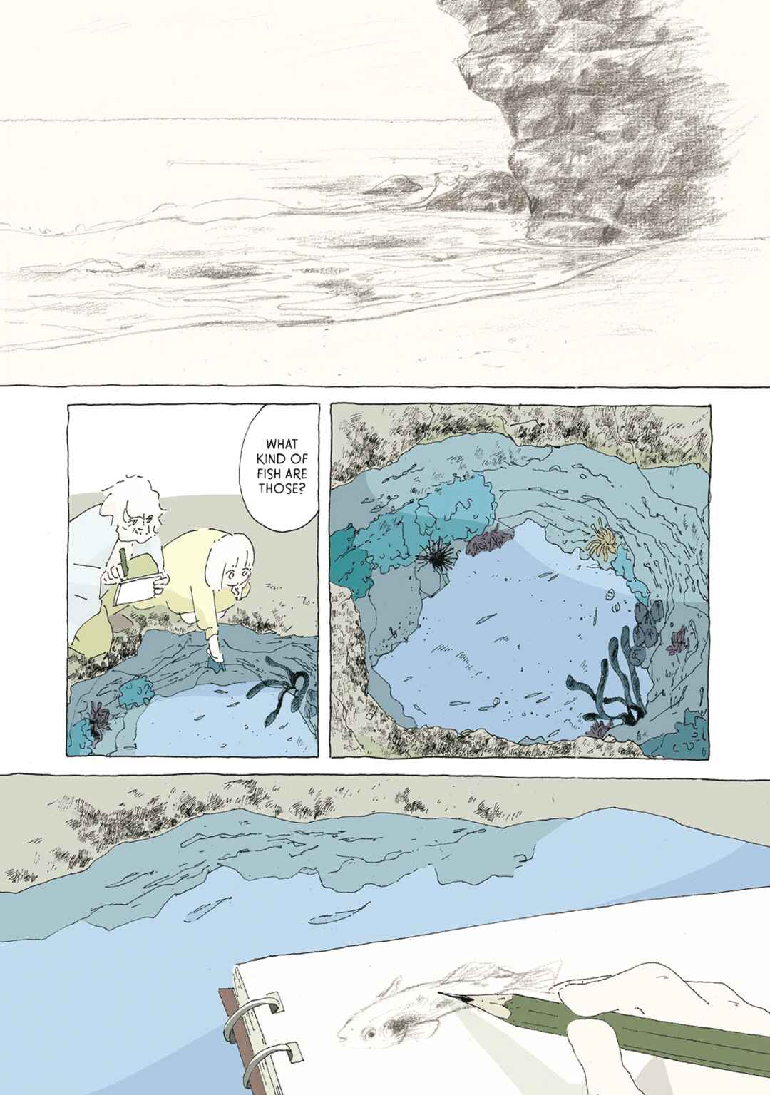 Page 13 Chapter 10 In a Windy Town