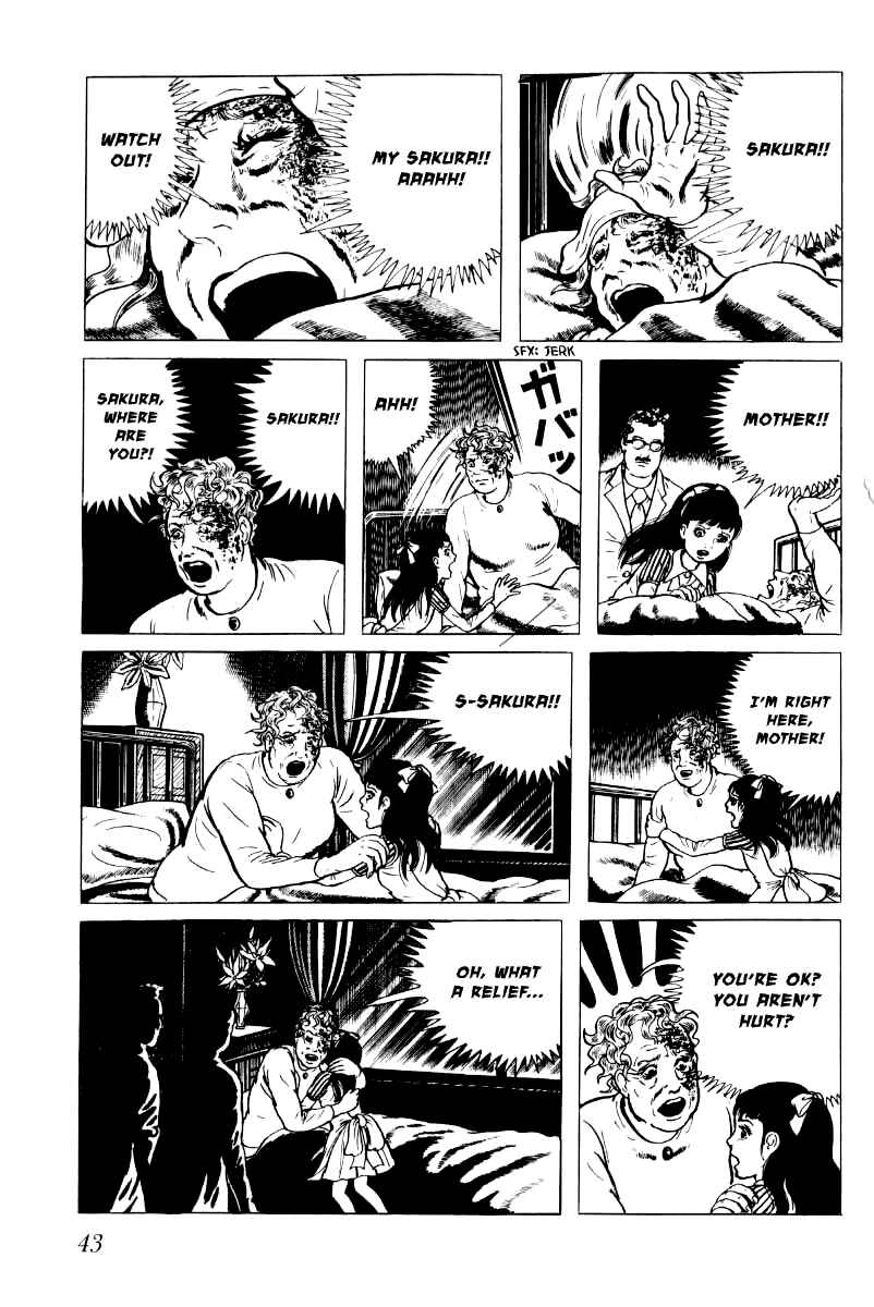 Page 6 Chapter 2 Baptism