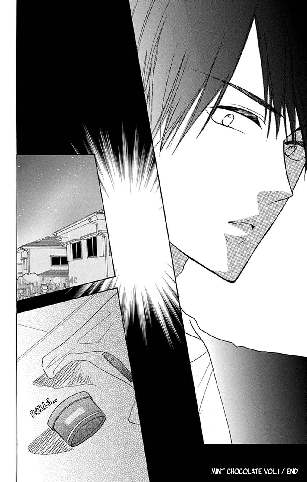 Page 17 Chapter 6 Mint Chocolate