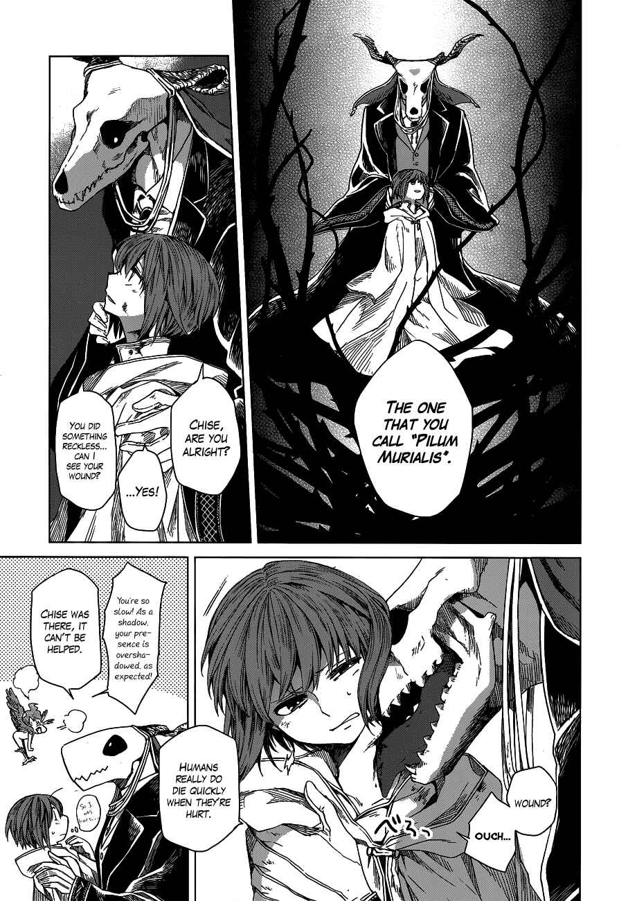 Page 15 Chapter 6 The Ancient Magus Bride