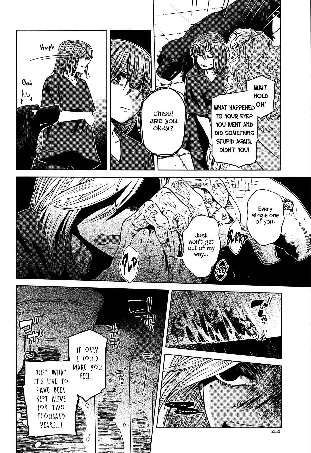 Page 13 Chapter 44 The Ancient Magus Bride