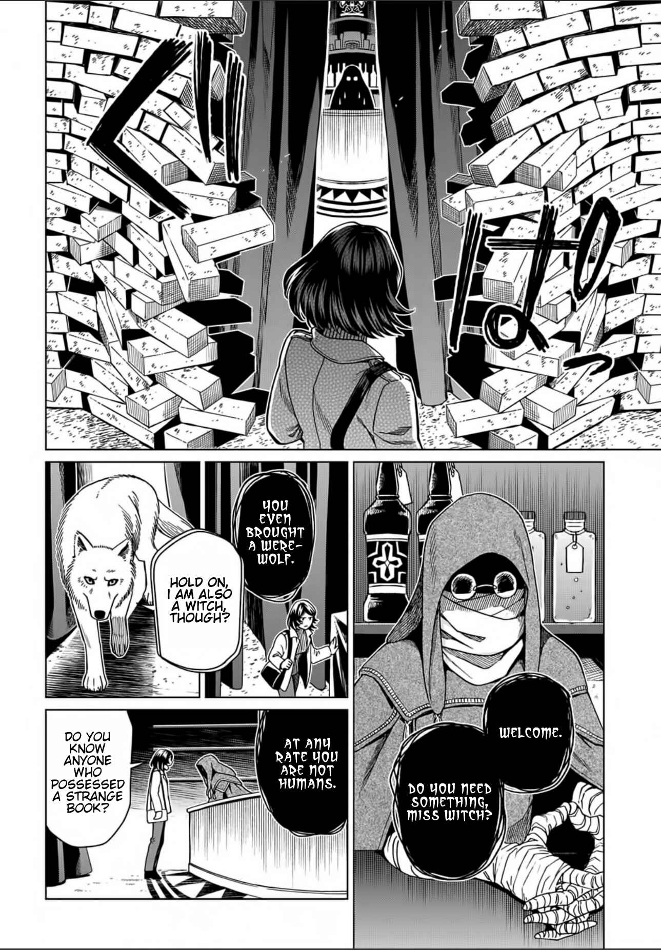 Page 18 Chapter 73 The Ancient Magus Bride