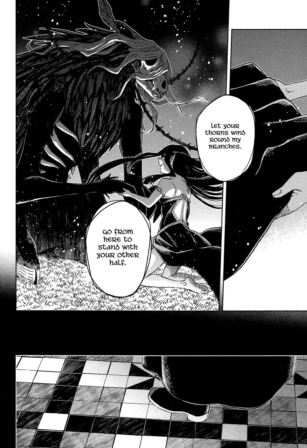 Page 13 Chapter 41 The Ancient Magus Bride