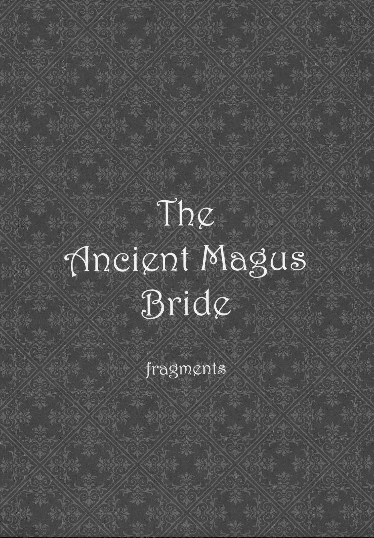 Page 33 Chapter 55.5 The Ancient Magus Bride