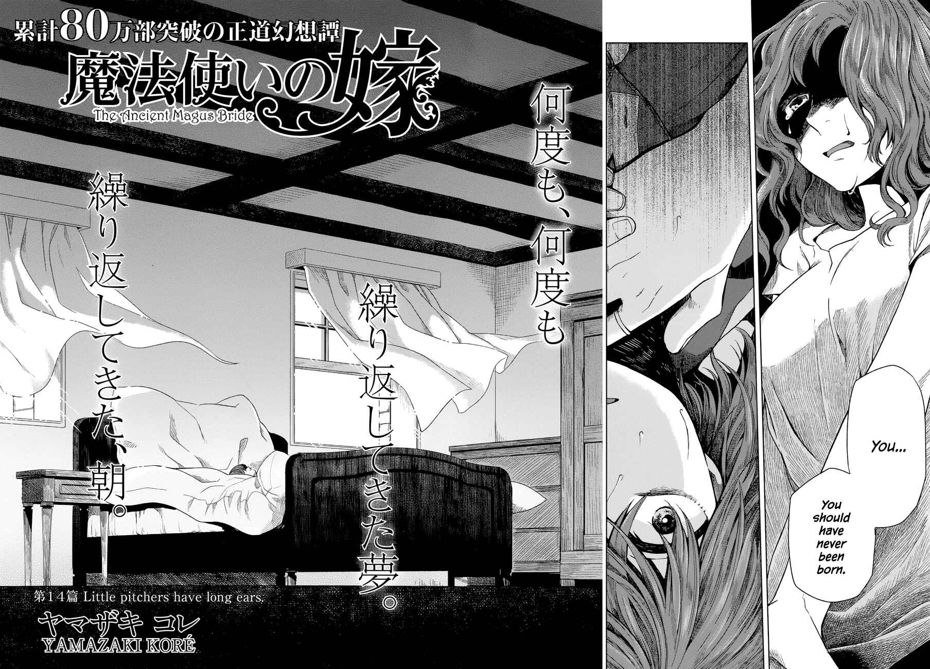 Page 3 Chapter 14 The Ancient Magus Bride