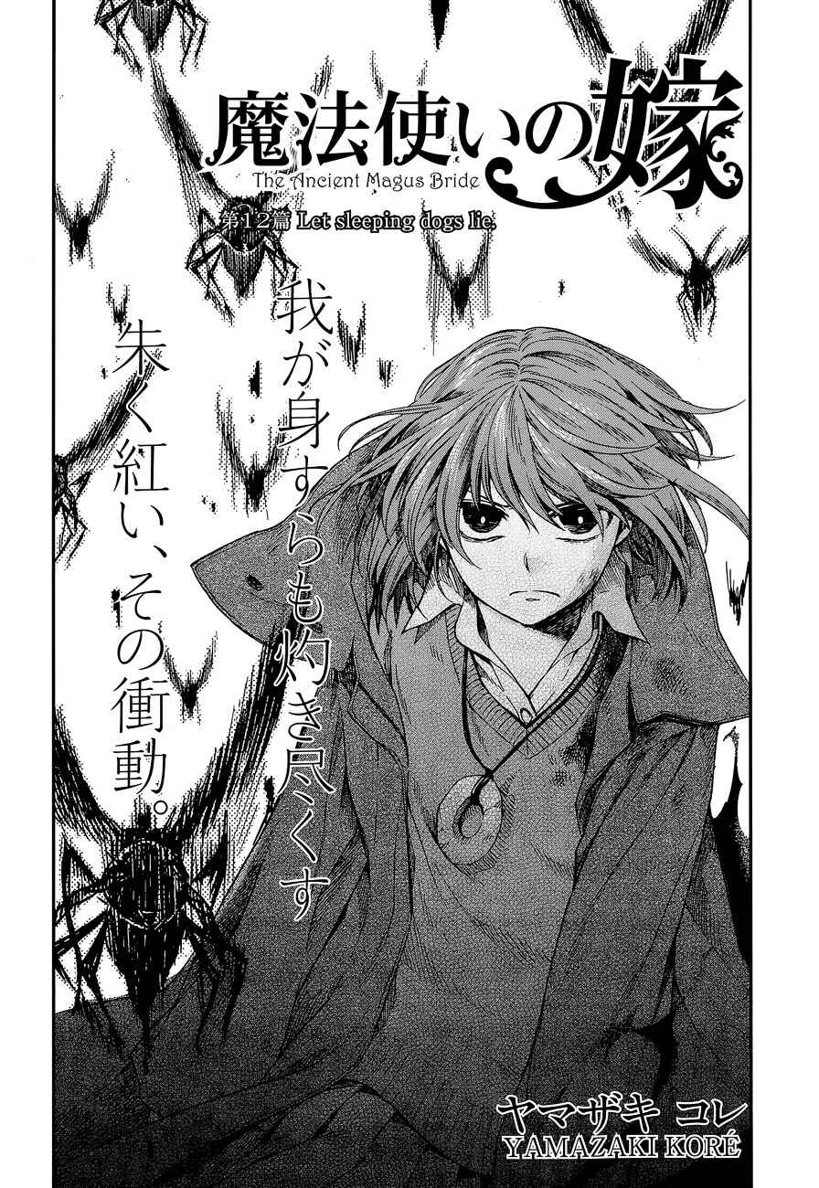 Page 2 Chapter 12 The Ancient Magus Bride