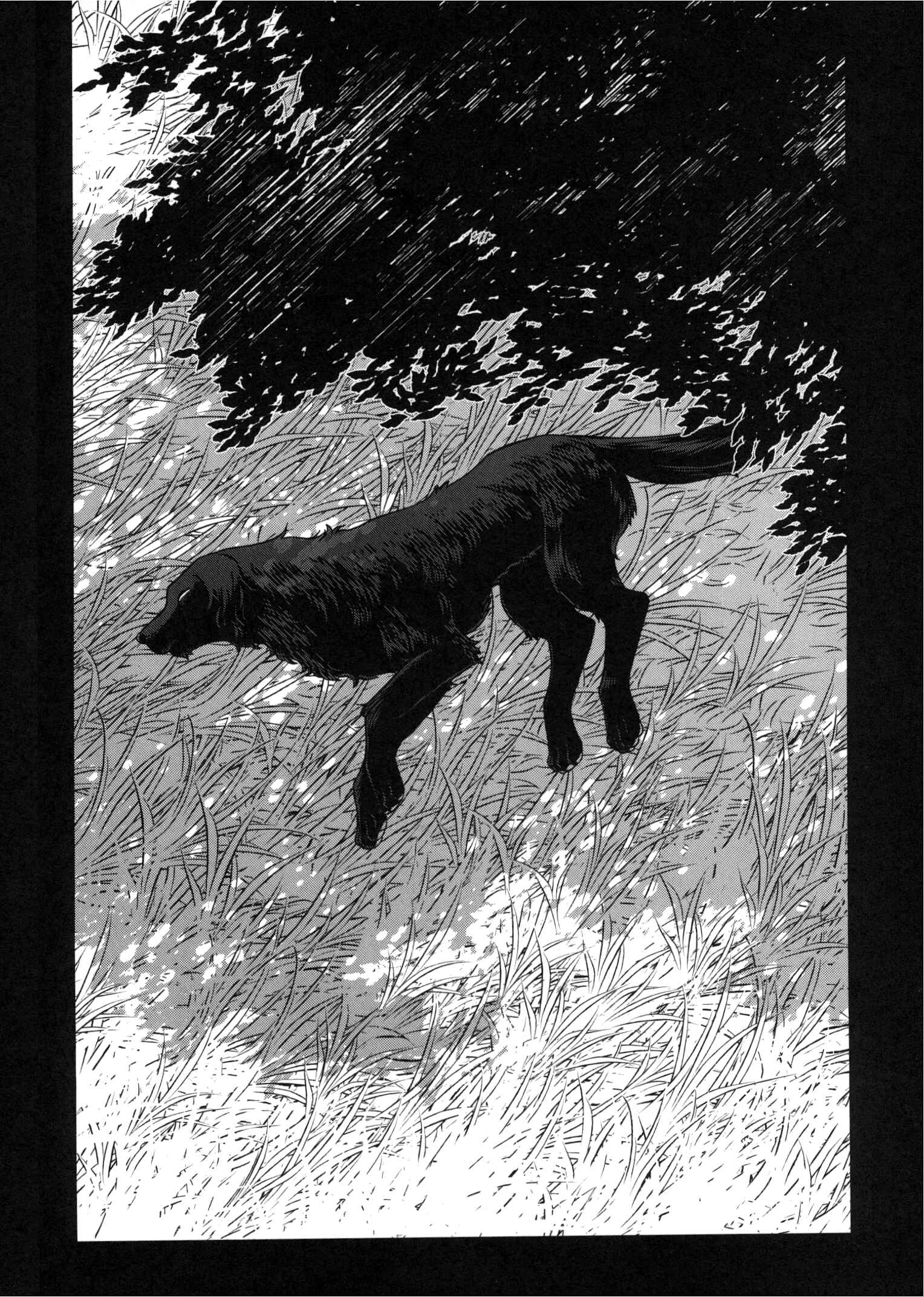Page 5 Chapter 79.5 The Ancient Magus Bride