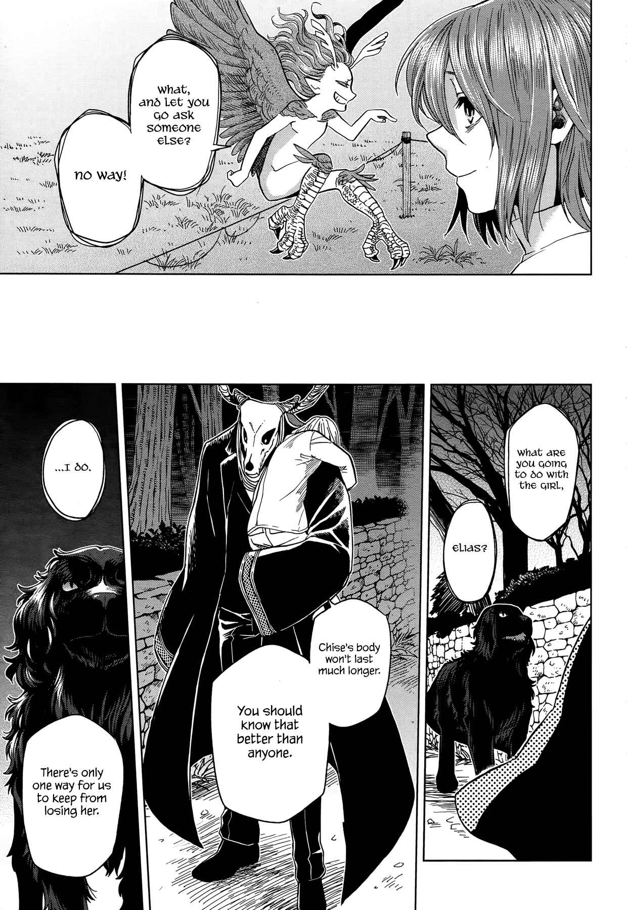 Page 33 Chapter 39 The Ancient Magus Bride