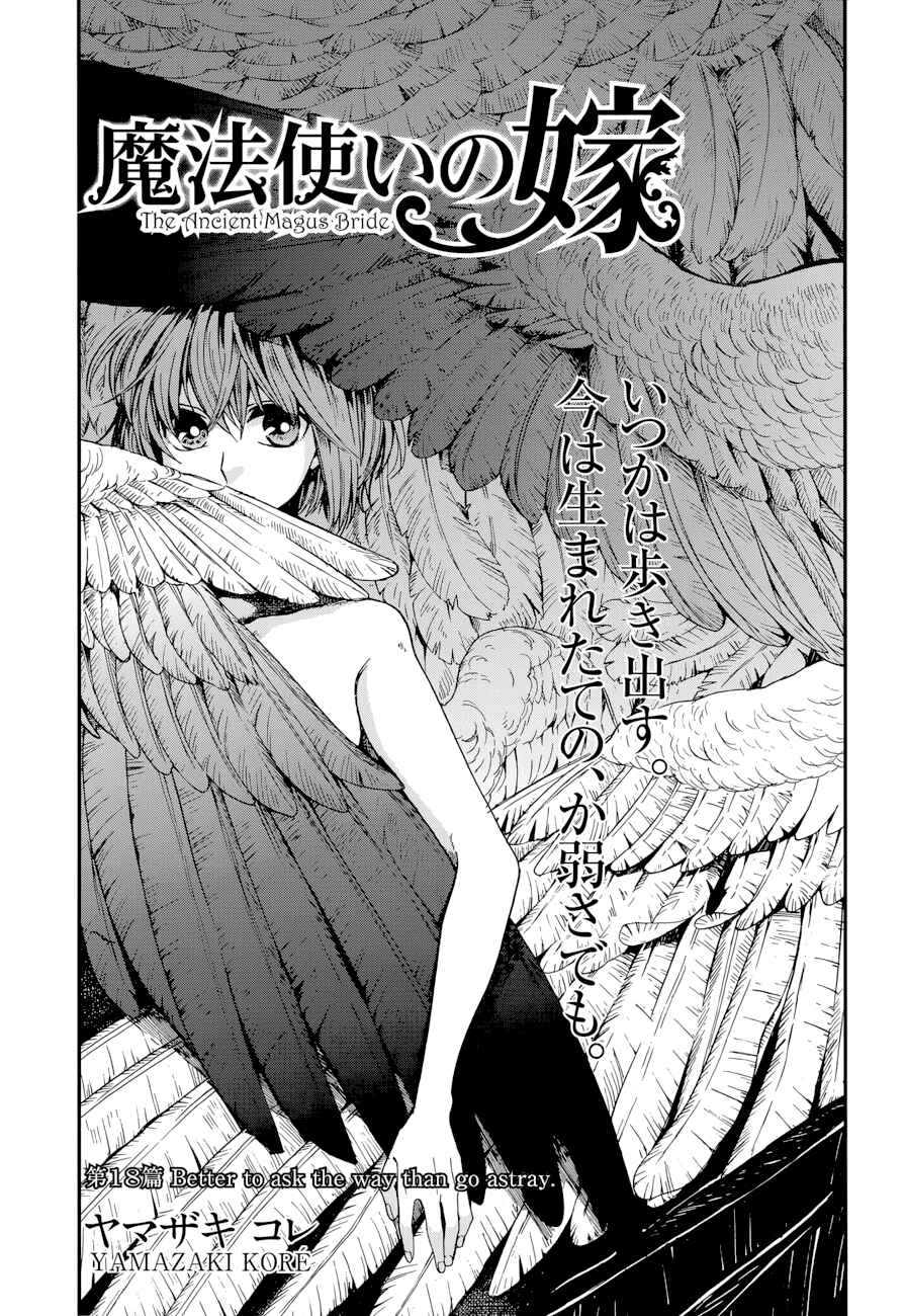 Page 3 Chapter 18 The Ancient Magus Bride