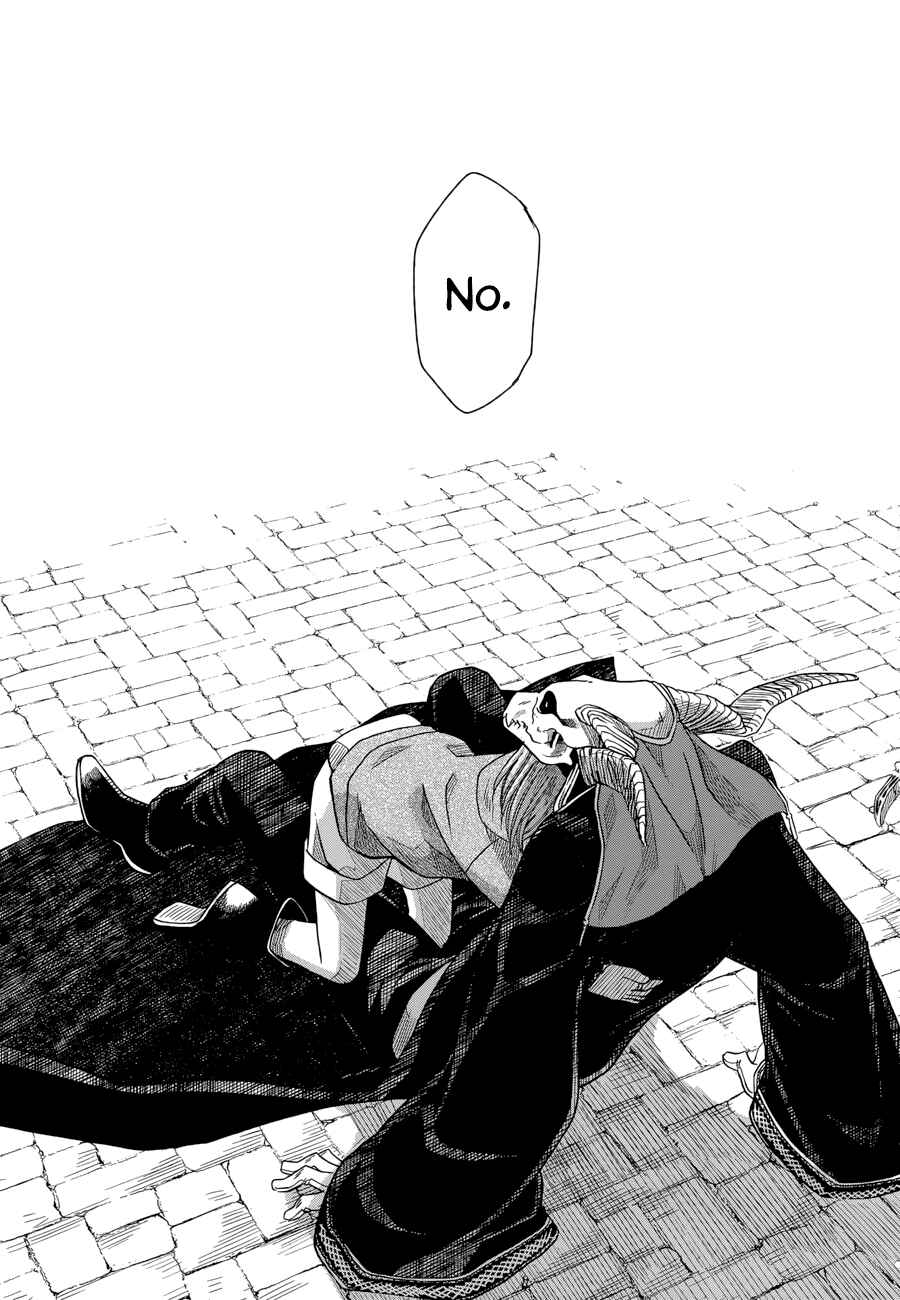 Page 25 Chapter 19 The Ancient Magus Bride