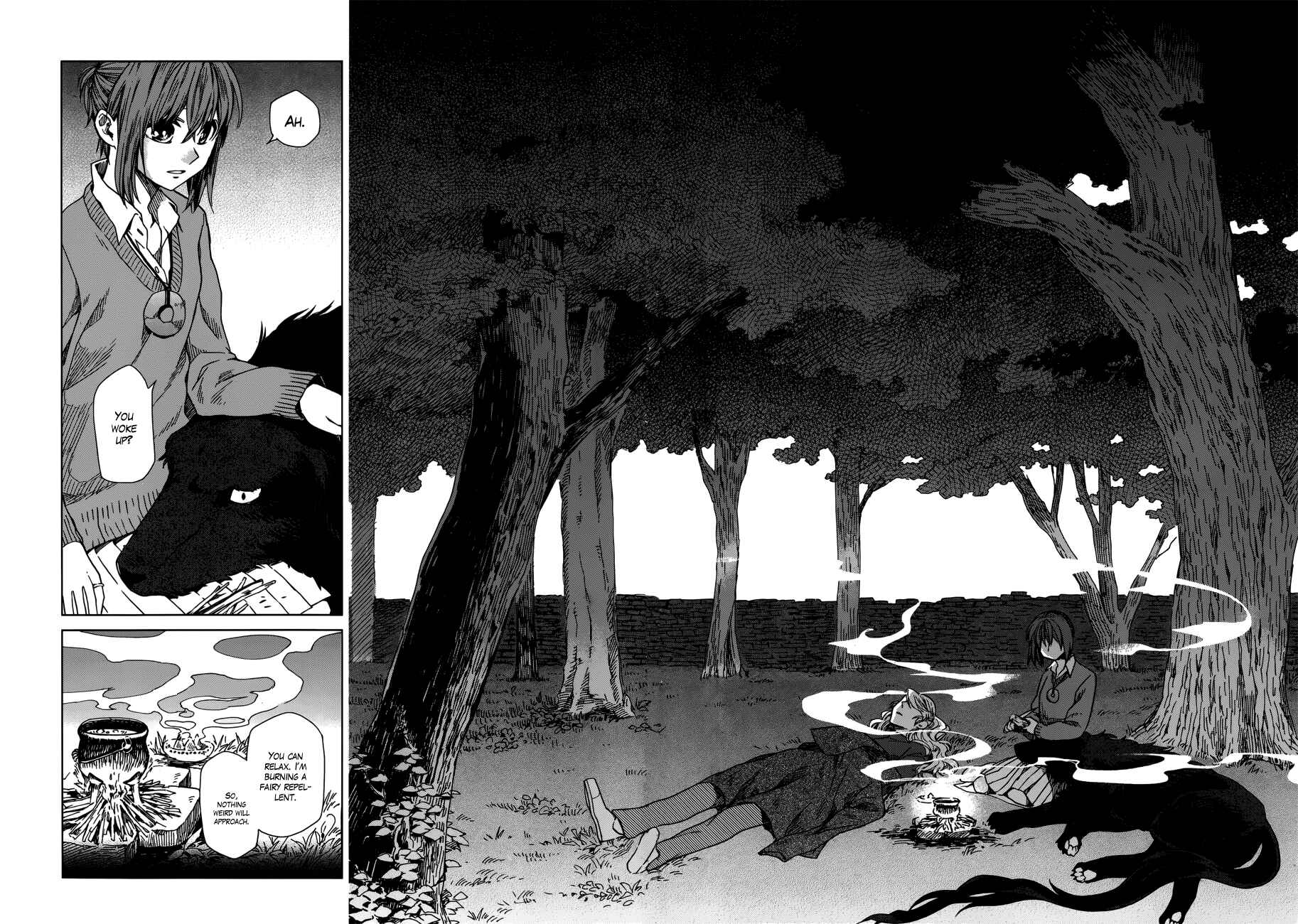 Page 13 Chapter 10 The Ancient Magus Bride
