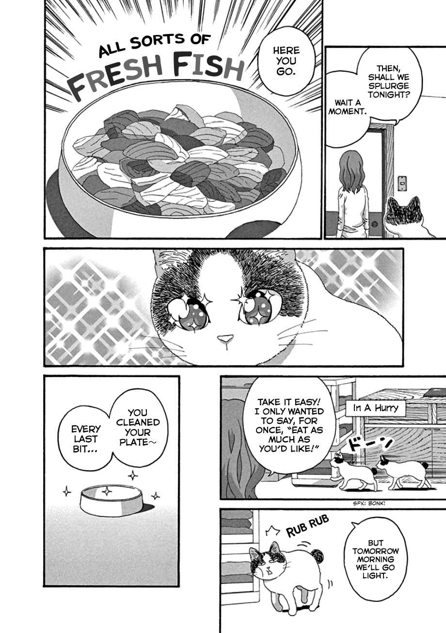 Page 22 Chapter 44 Mill