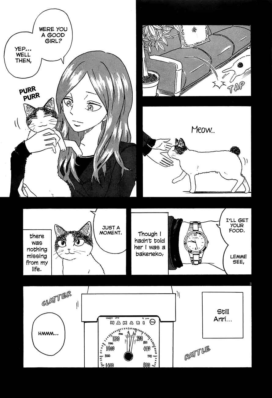 Page 3 Chapter 7 Mill