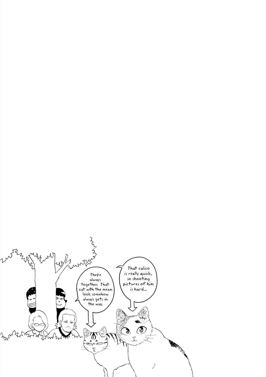 Page 27 Chapter 29 Mill