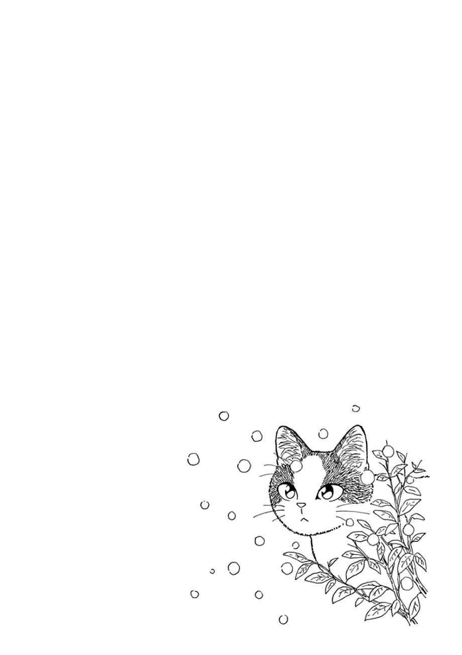 Page 26 Chapter 43 Mill