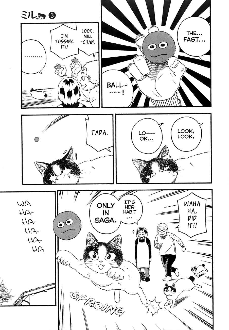 Page 13 Chapter 17 Mill