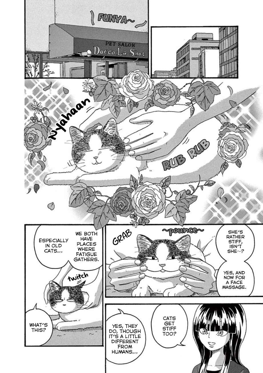 Page 14 Chapter 32 Mill
