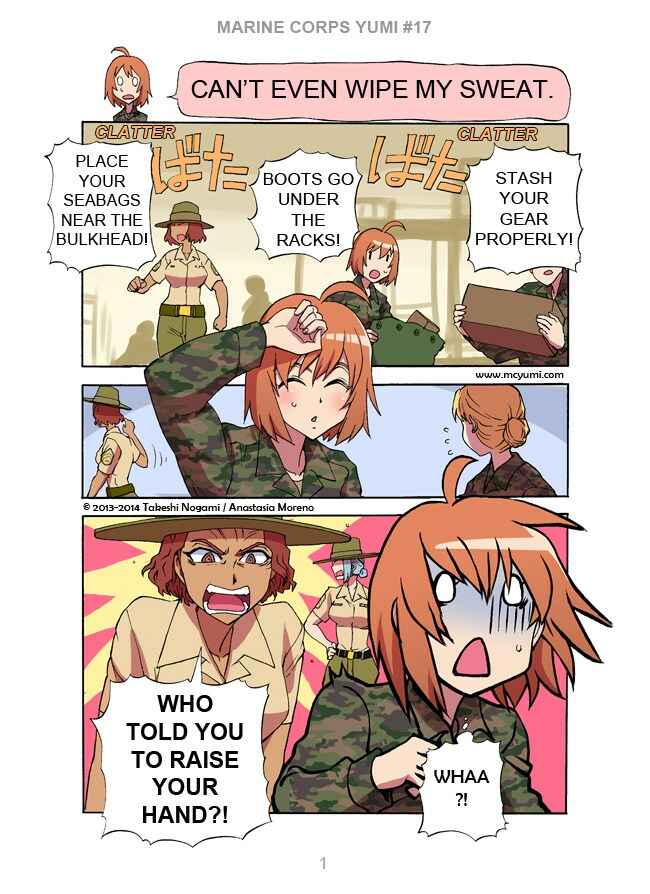 Page 1 Chapter 17 Marine Corps Yumi