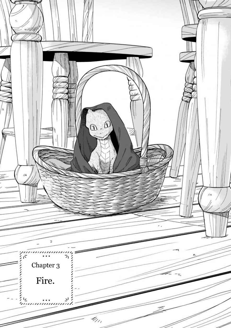 Page 3 Chapter 3 Daidokoro no Dragon